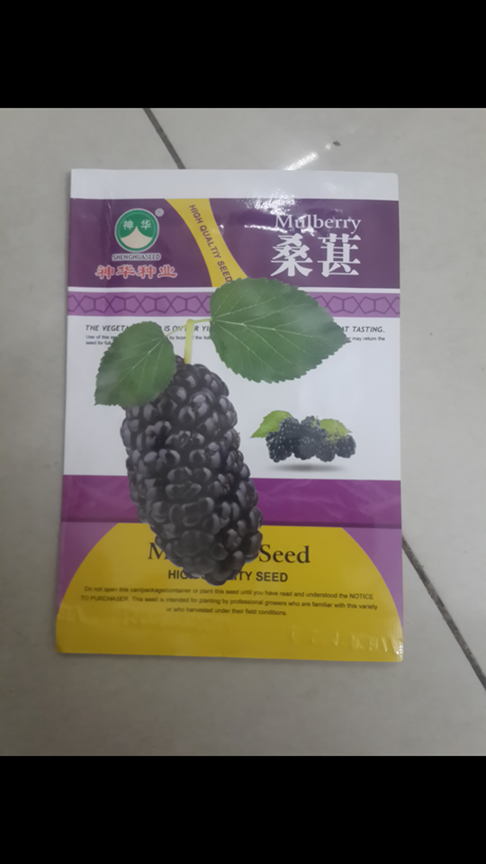 [HCM]Hạt giống dâu tằm đen