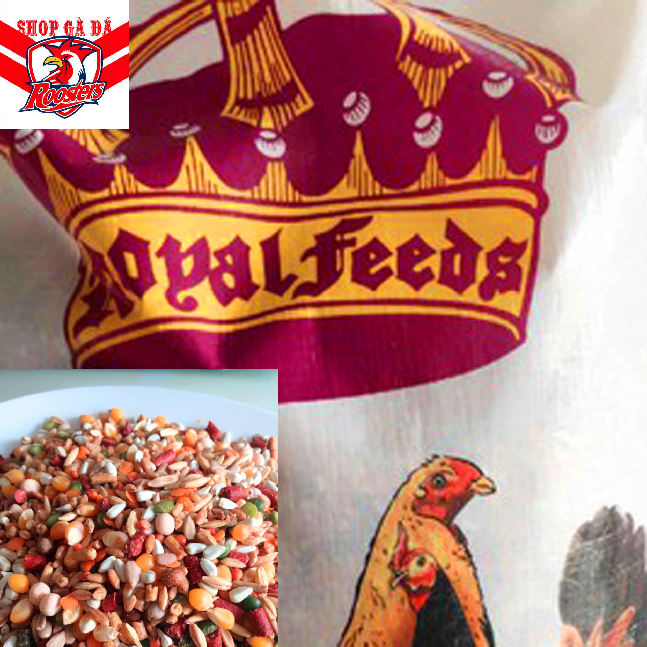 Ngủ Cốc Gà Đá Royal Feed 5kg