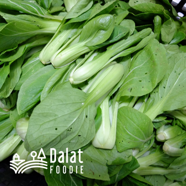 Cải Thìa 250G - [Giao hàng ngay tại TPHCM]