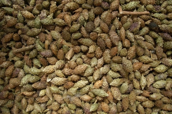 Dried Horse Head 500Gr, First Class Product Gt242