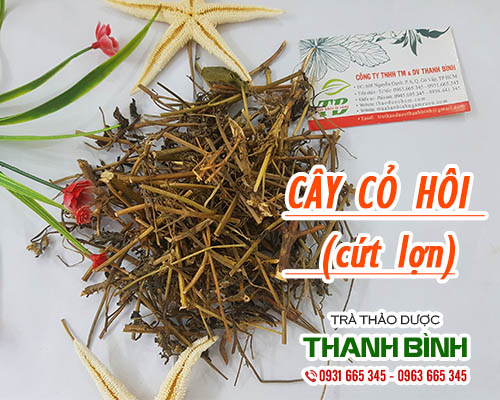 Cây Cứt Lợn ( Cây Cỏ Hôi ) Khô 1KG - Thảo Dược Thanh Bình