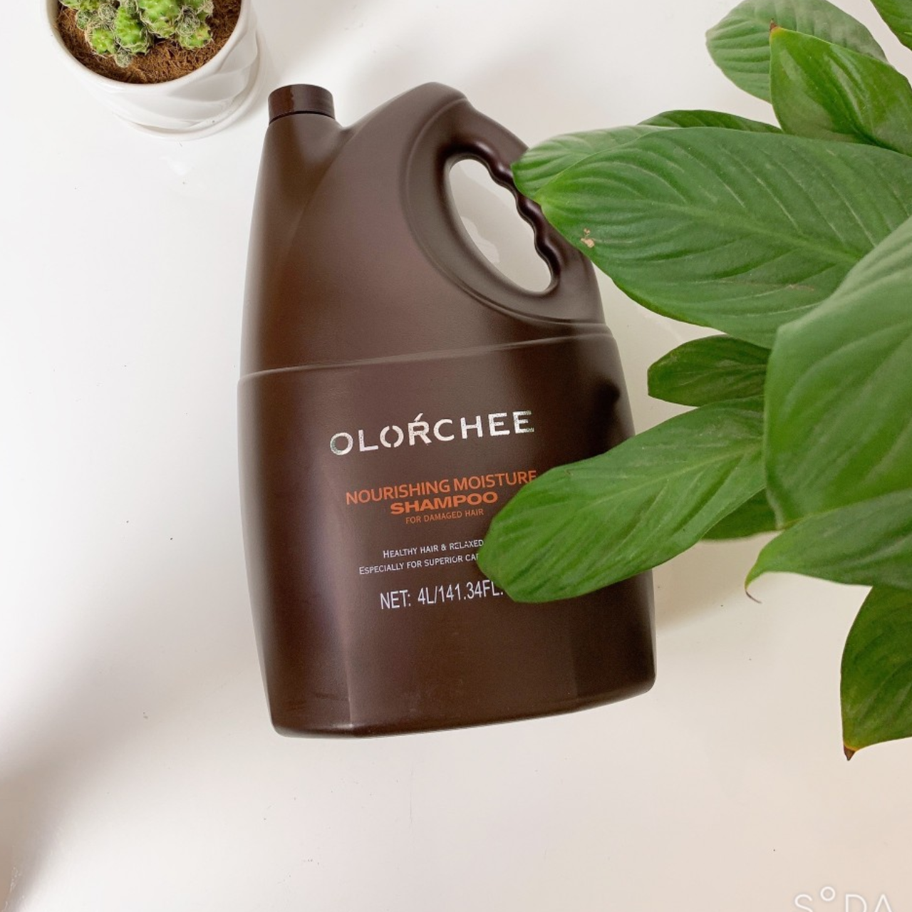 Dầu gội olorchee hương thơm, mượt tóc, cặp gội xả chăm sóc tóc 4000ml
