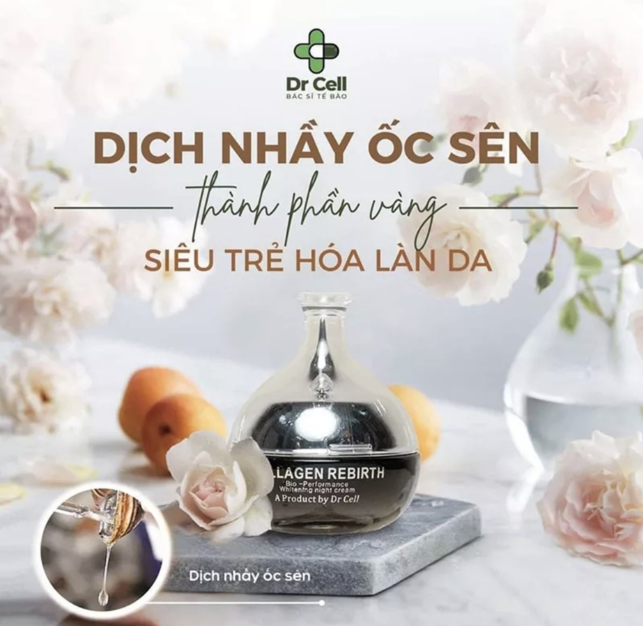 kem dưỡng ban đêm Dr cell