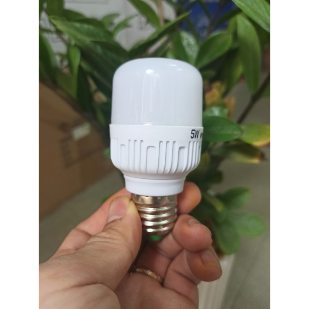Bóng đèn LED 5w tiết kiệm