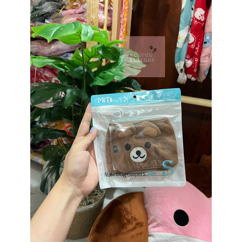 Quần tả cho chó đực đáng yêu