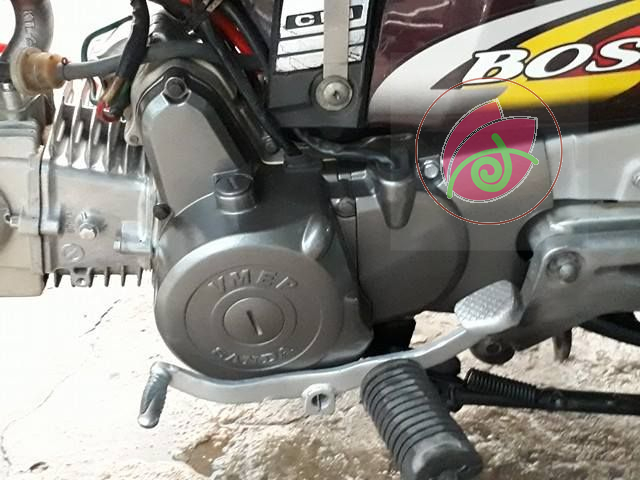 Y137 SƠN SAMURAI màu xám bạc