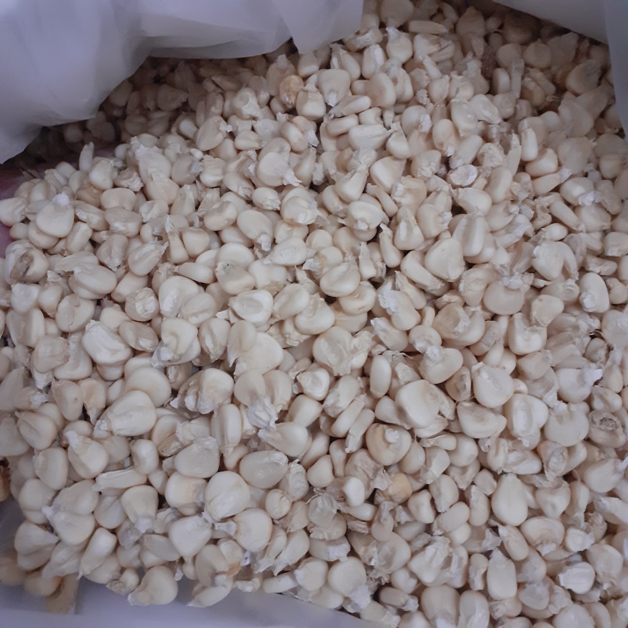 Bắp Hạt (Ngô Hạt) Khô- Làm xôi bắp, bắp hầm - Nhà trồng