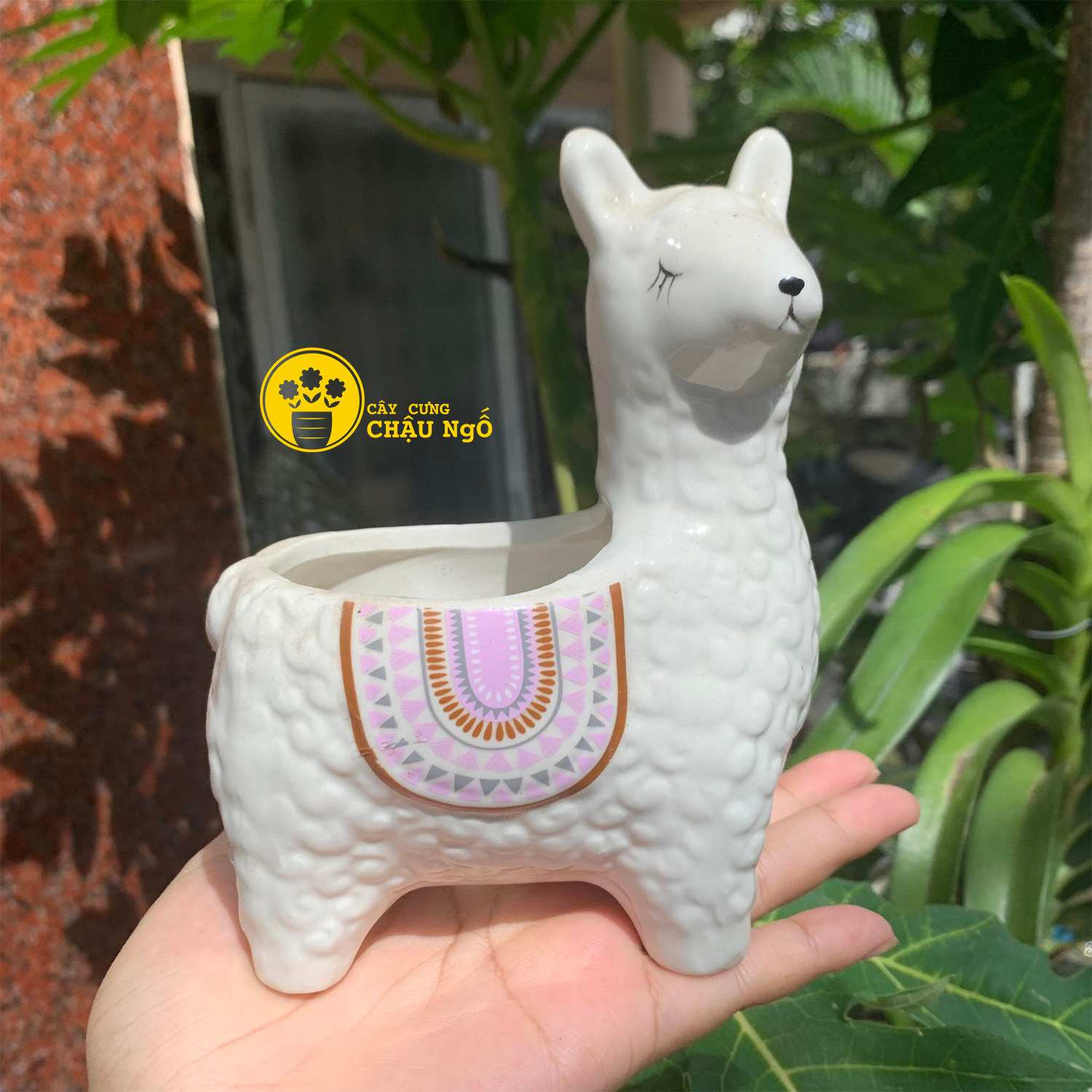 Chậu gốm lạc đà
