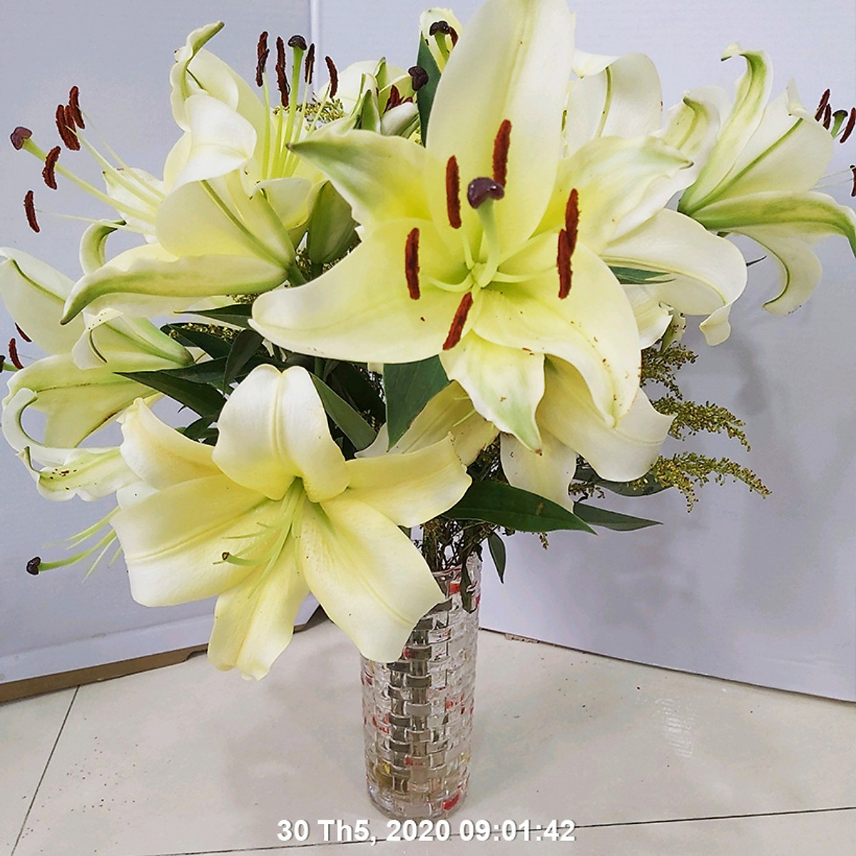 Longlife Food For Cut Flower