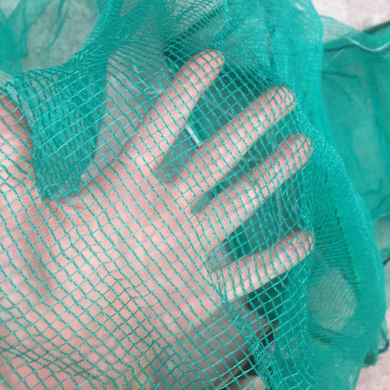 Đăng vét cá dớn bắt cá vây cá