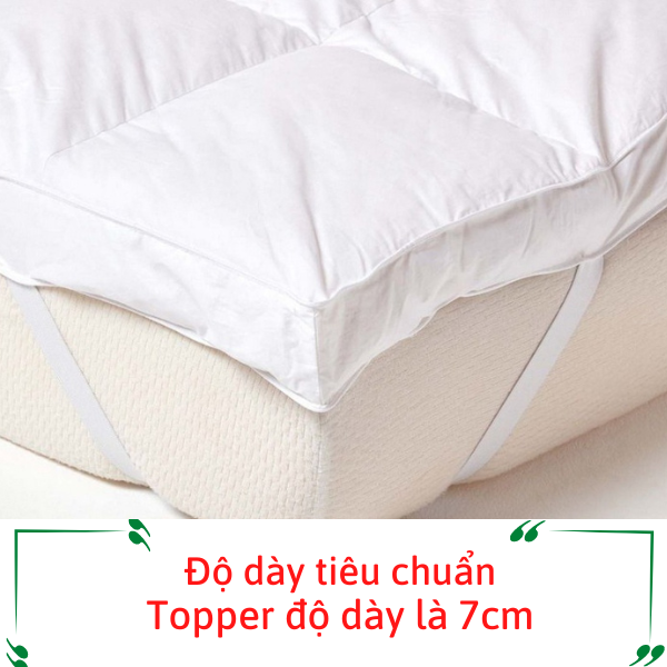 [HCM]Topper làm mềm nệm hàng cao cấp