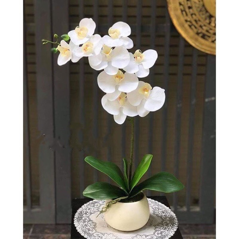 Flower pot orchid message clock rubber gorgeous decoration tea table, shelf, as gifts luxury dg-42-artificial flowers-desktop flower-flower decoration
