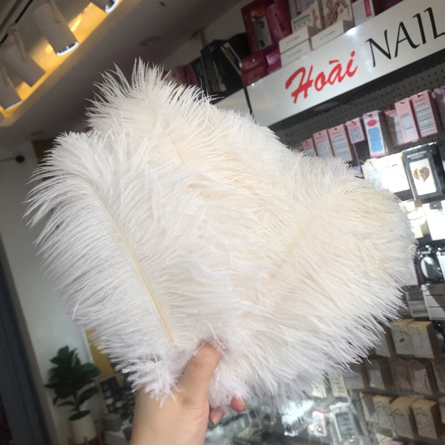 Lông vũ chụp ảnh Phụ kiện Nail (1 chiếc)