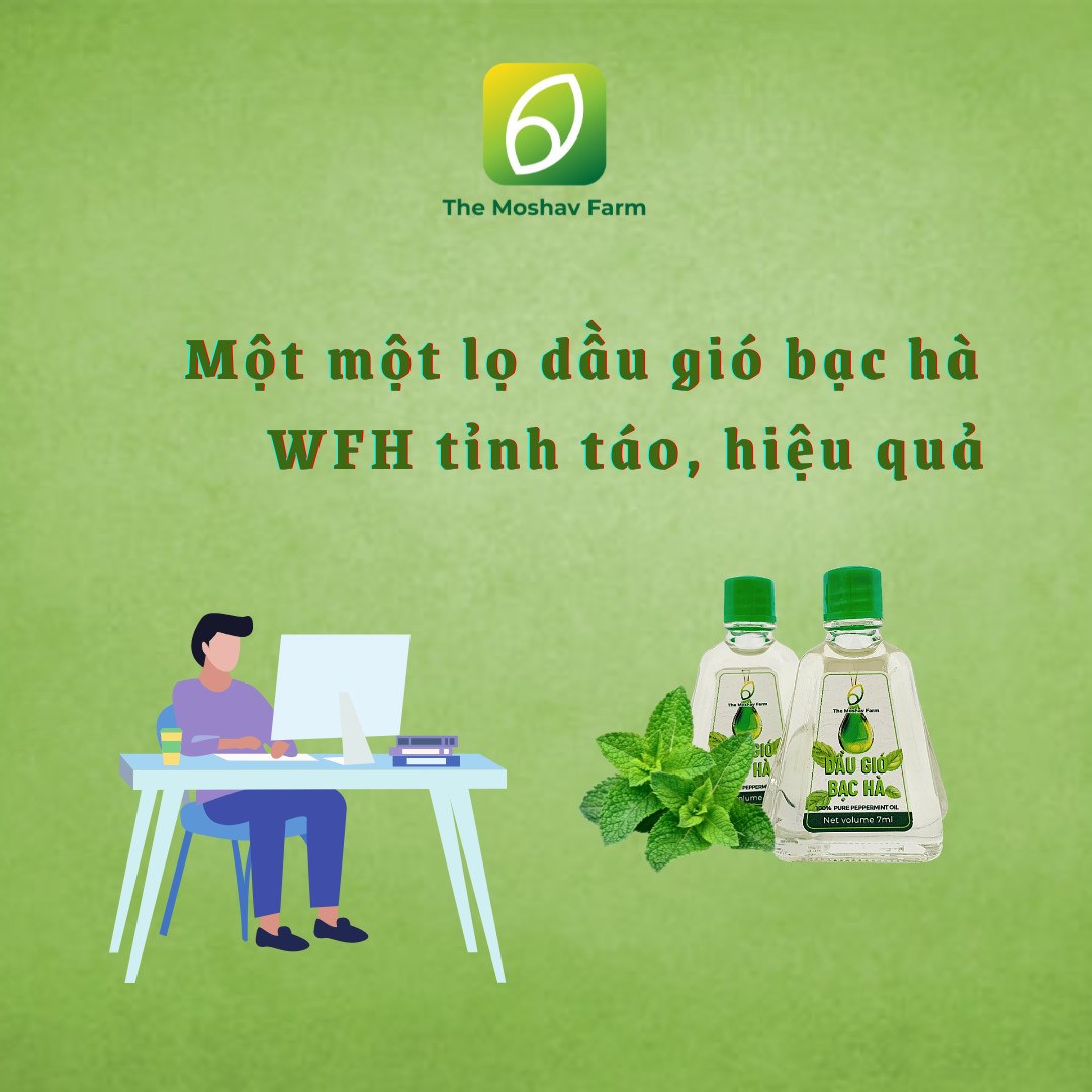 DẦU GIÓ BẠC HÀ