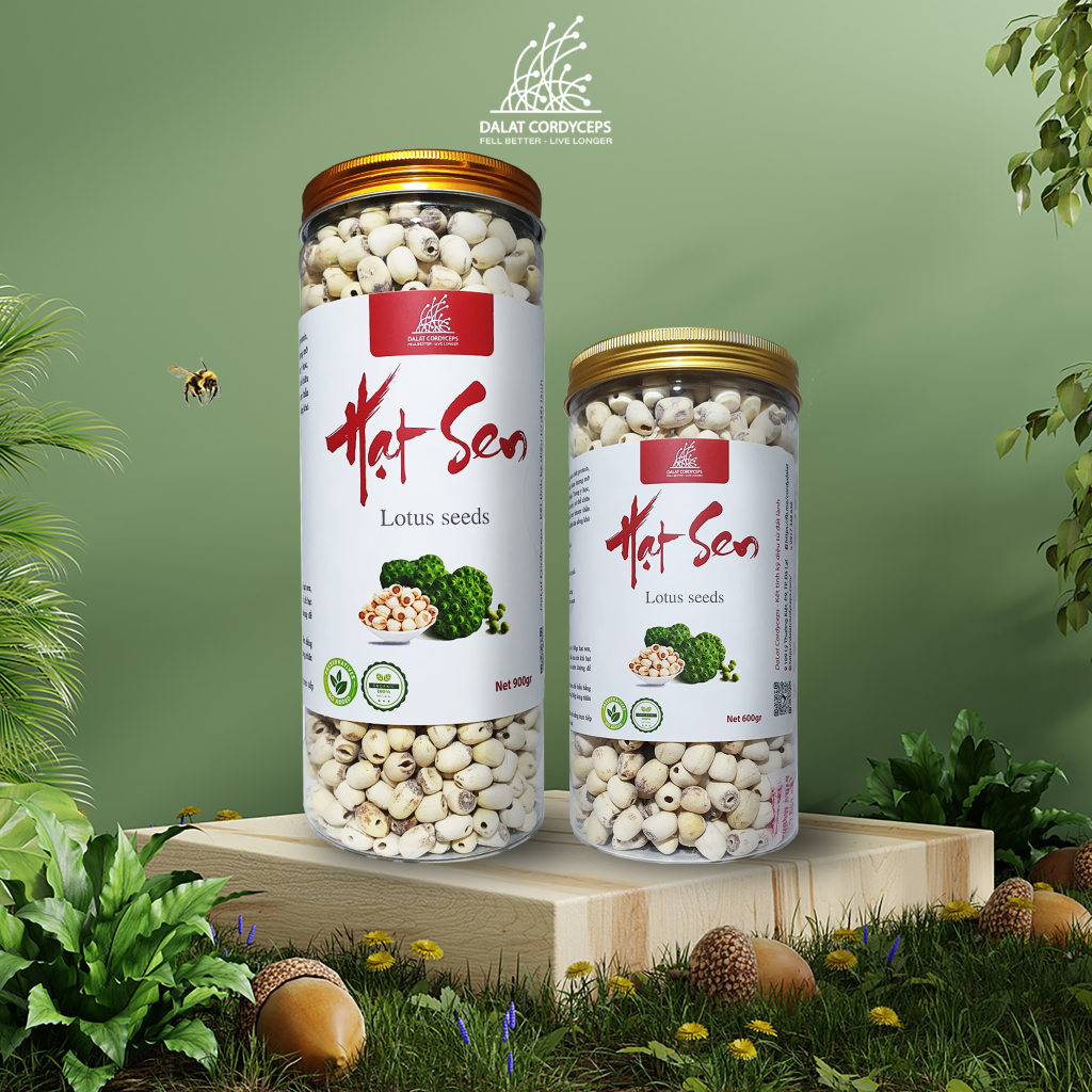Hạt sen sấy khô - Dalat Cordyceps - hạt tịnh tâm