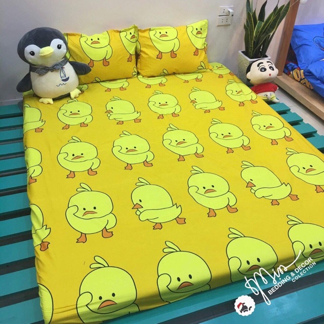 Bộ 3 Món Ga Gối Cotton Poly