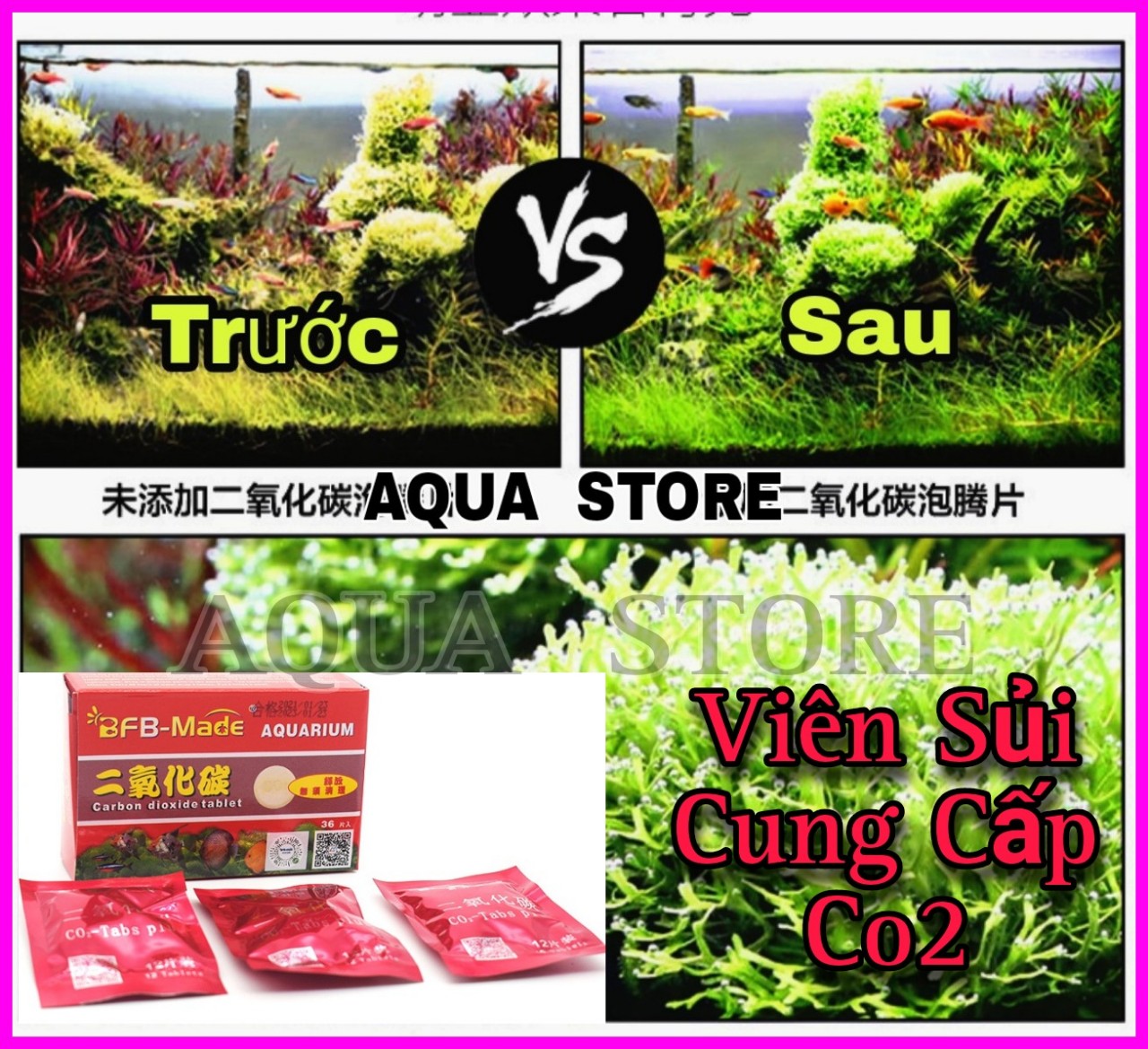 Viên nén CO2 cung cấp CO2 cho hồ thủy sinh cá cảnh