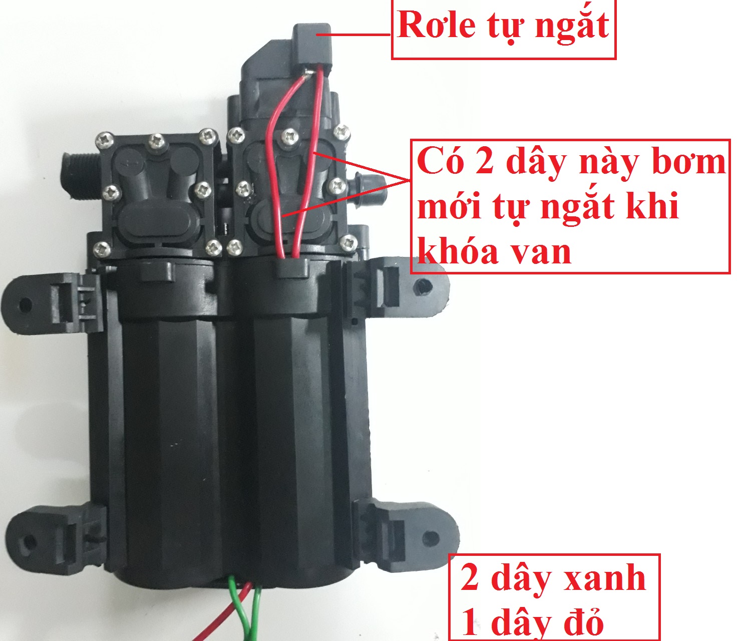 Bơm áp lực mini12v bơm đôi - Mẫu Mới 2020 - GPUMP