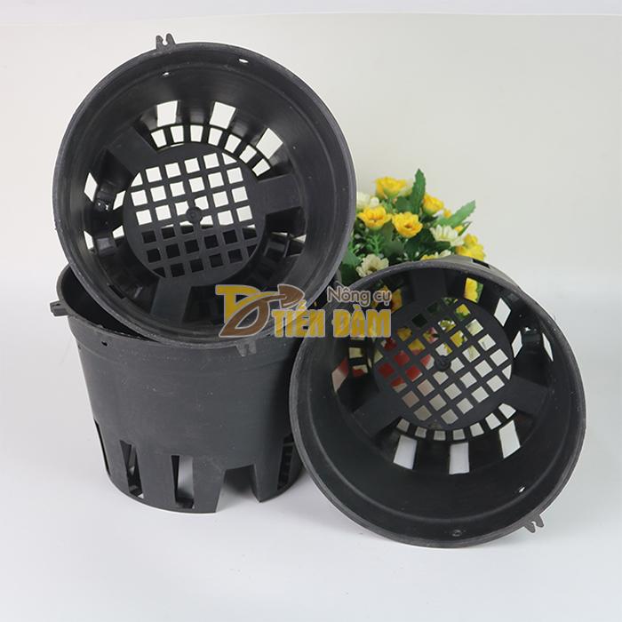 5 chậu nhựa đen trồng Lan phi 14cm
