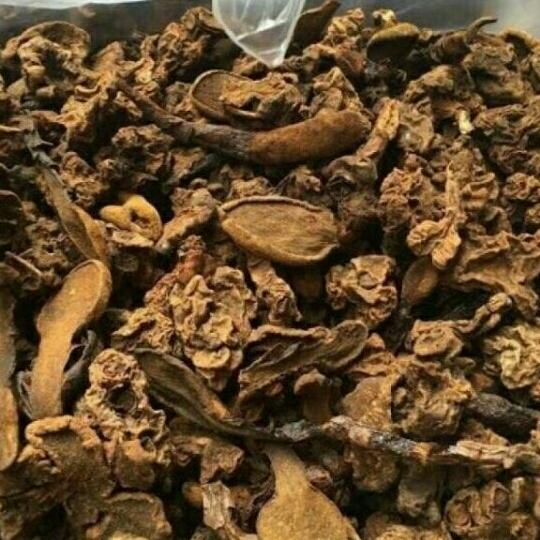 500g sâm đương khô sắc lát