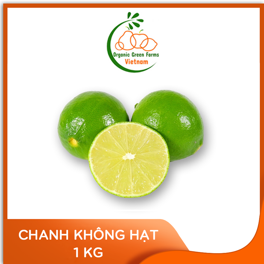 [OGF] - Chanh không hạt (500g) - Giao nhanh HCM