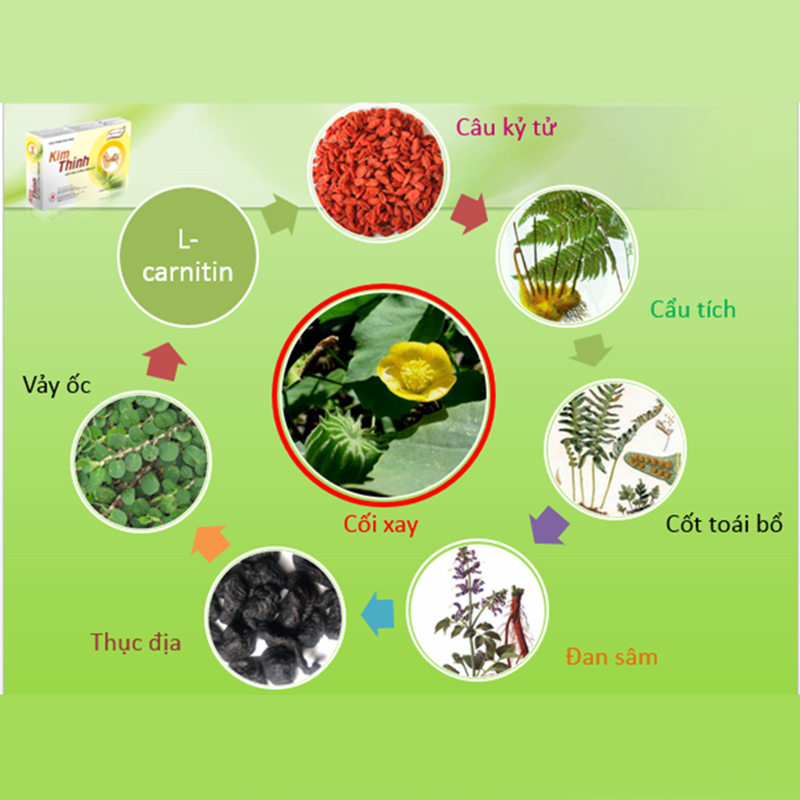 Kim Thính - Giúp Tăng Cường Thính Lực (Hộp 30 viên)