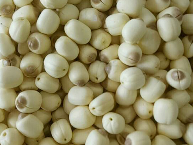 Hạt sen khô đồng tháp 200g