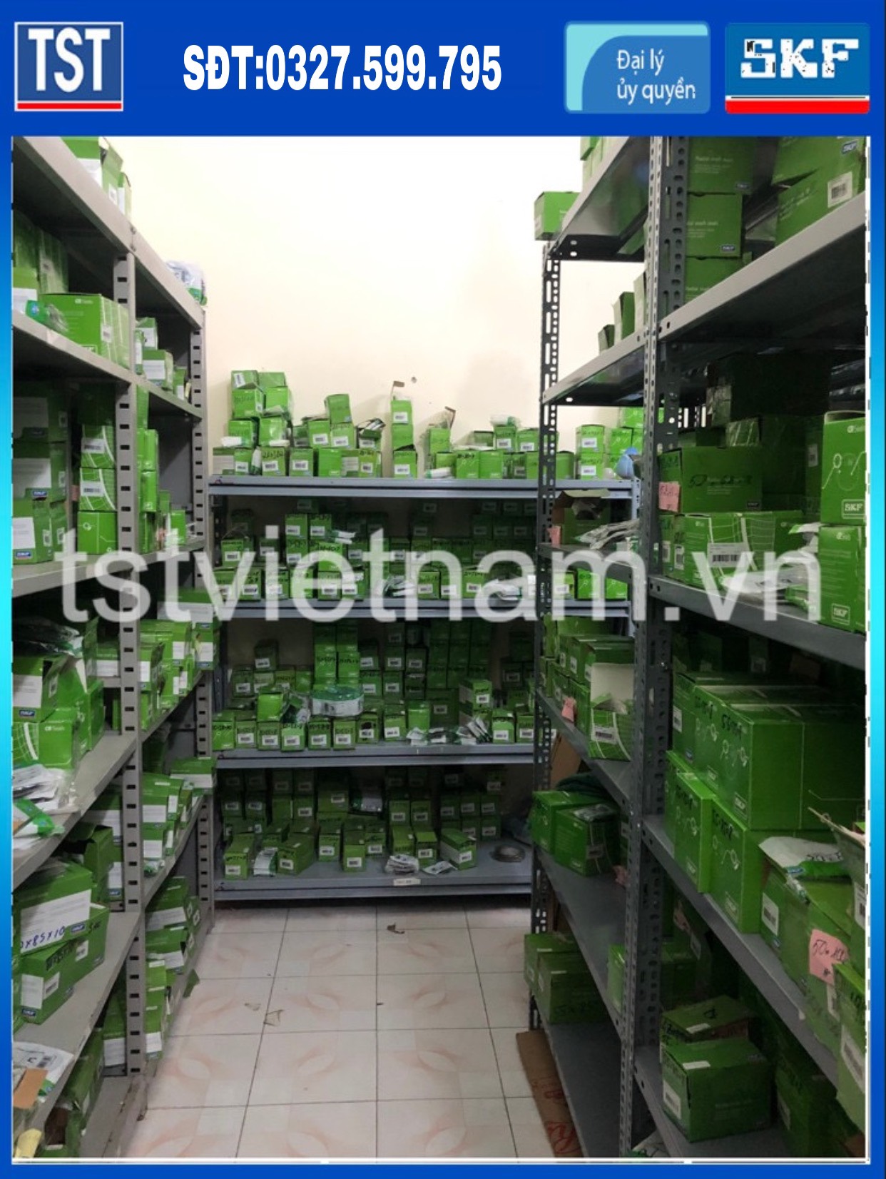 - SKF OIL SEAL