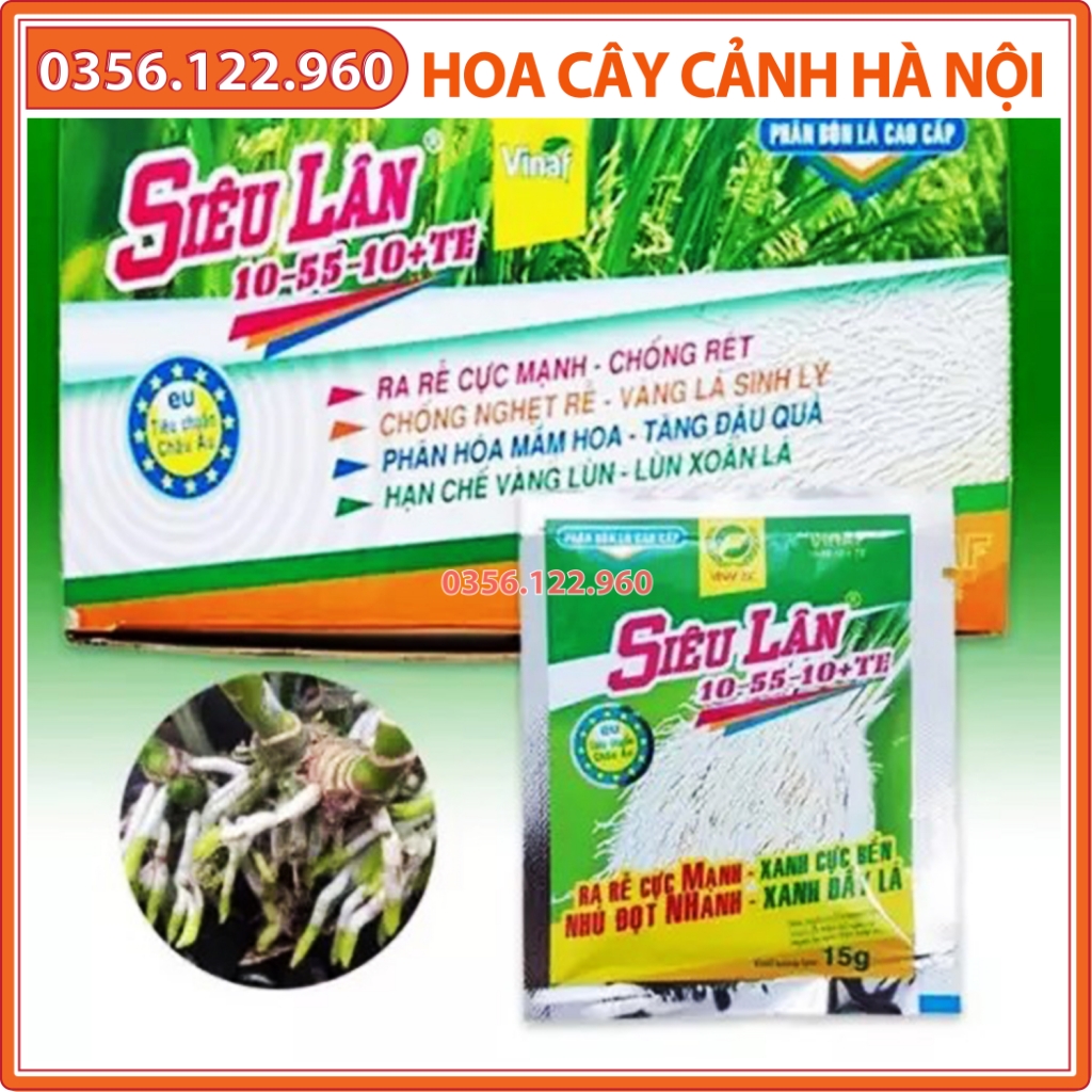 [Rẻ vô địch]  5 gói PHÂN BÓN SIÊU LÂN XANH 10-55-10+ TE 15G (ra rễ khỏe bật chồi , xanh dày lá))
