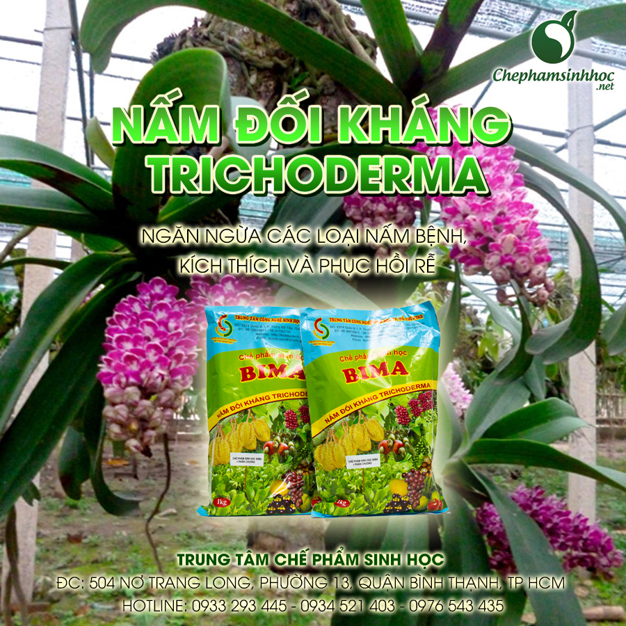 Nấm đối kháng Trichoderma BIMA
