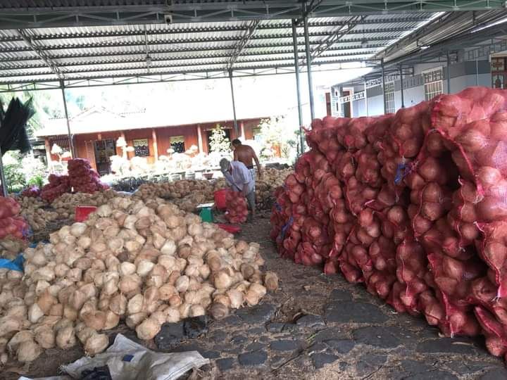 Dừa khô 1 trái trên 1kg