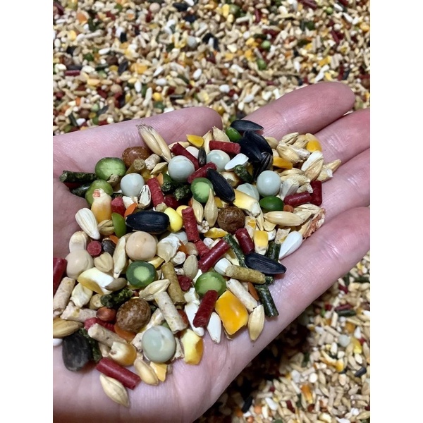 Ngũ Cốc Cao Cấp Dành Cho Chiến Kê ( GÀ )