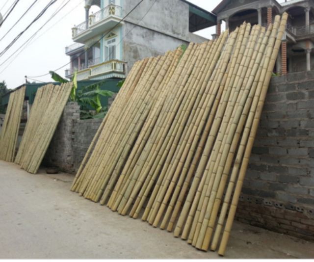 Bán nan lồng chim các loại-Màu - 4ly