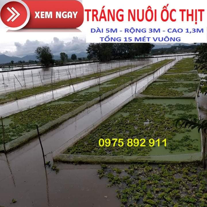 Tráng vèo lồng nuôi ốc ếch cá
