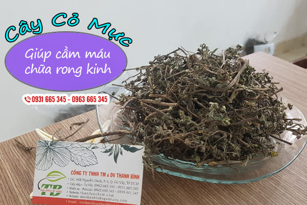 [FreeshipMAX]  Cây Cỏ Mực Khô 500G - Đông Y Thanh Bình