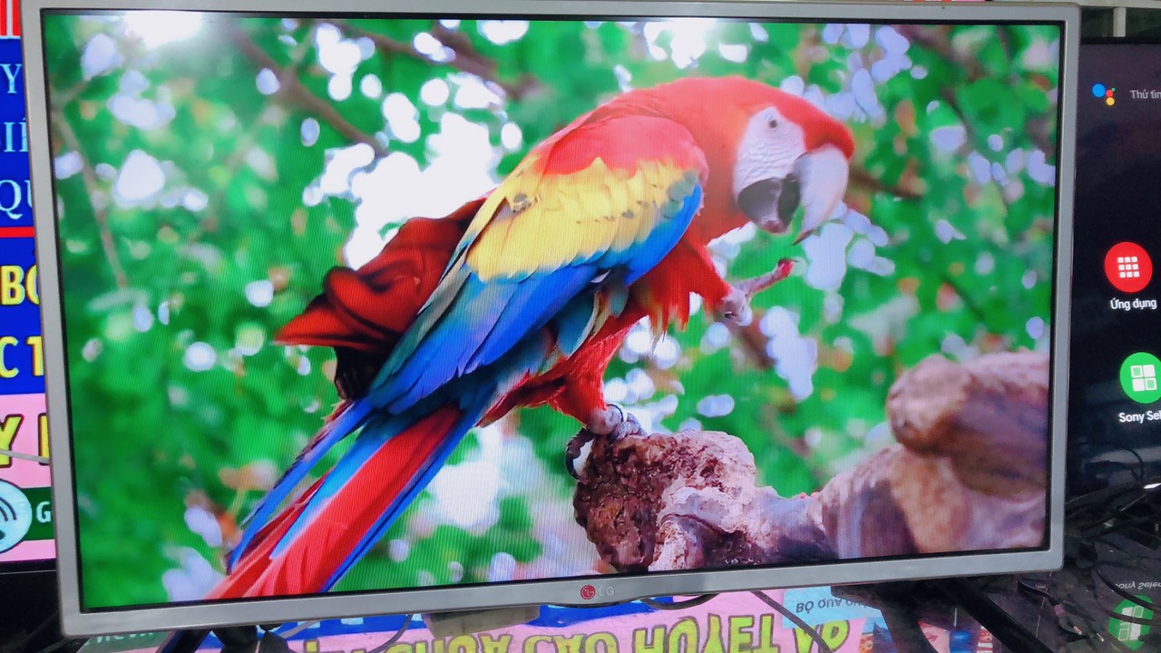 Smart Tivi LED LG 32LB582D 32 inch