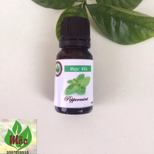 Tinh Dầu Bạc Hà Nguyên Chất 10Ml | Ấn Độ