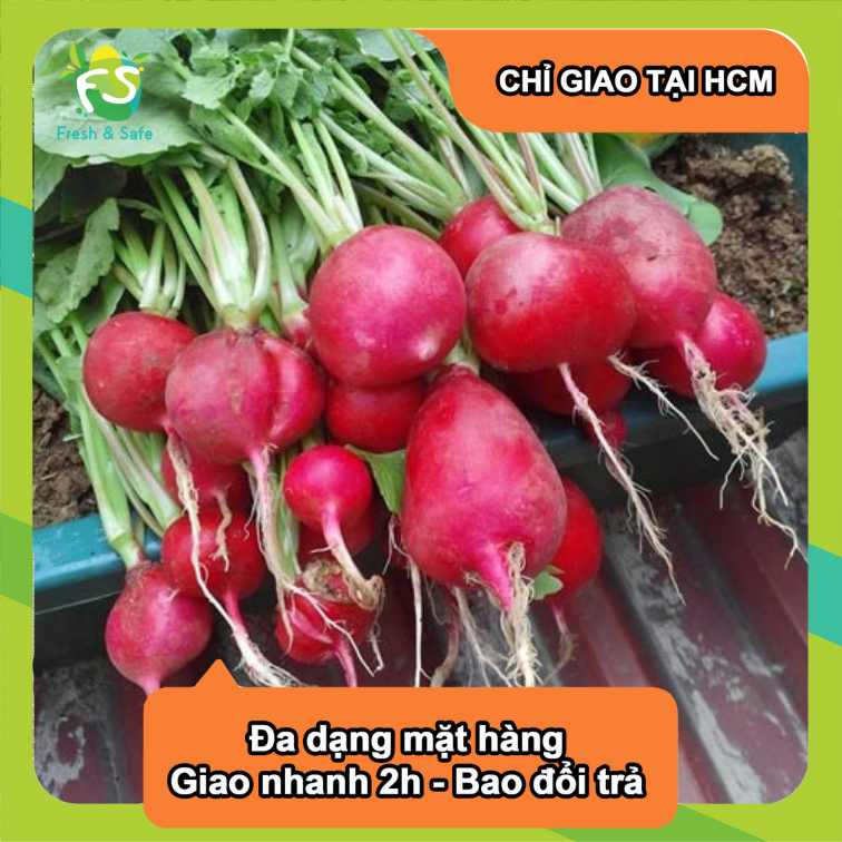 [Chỉ Giao HCM] Củ cải đỏ - 200g