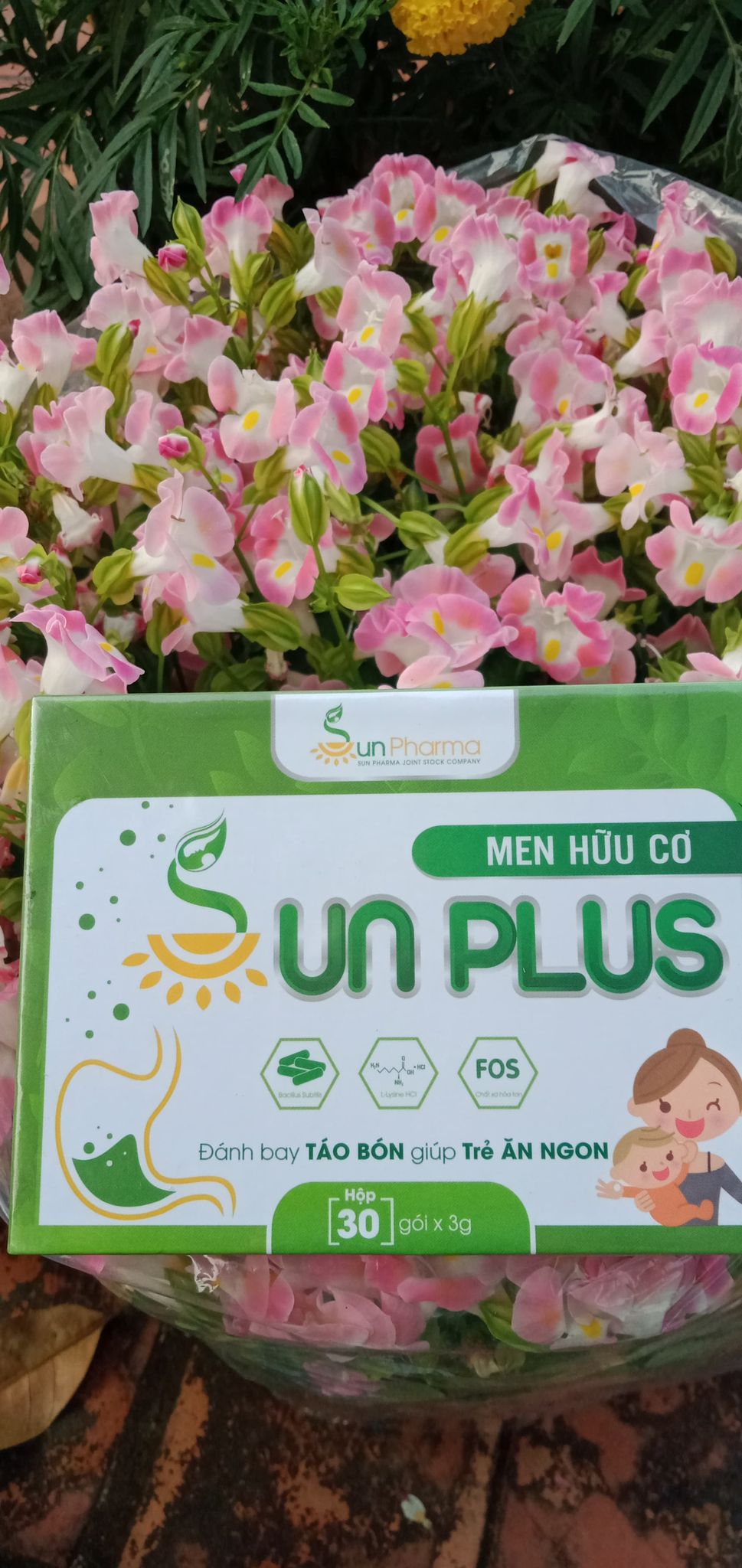 Sữa non Sunplus