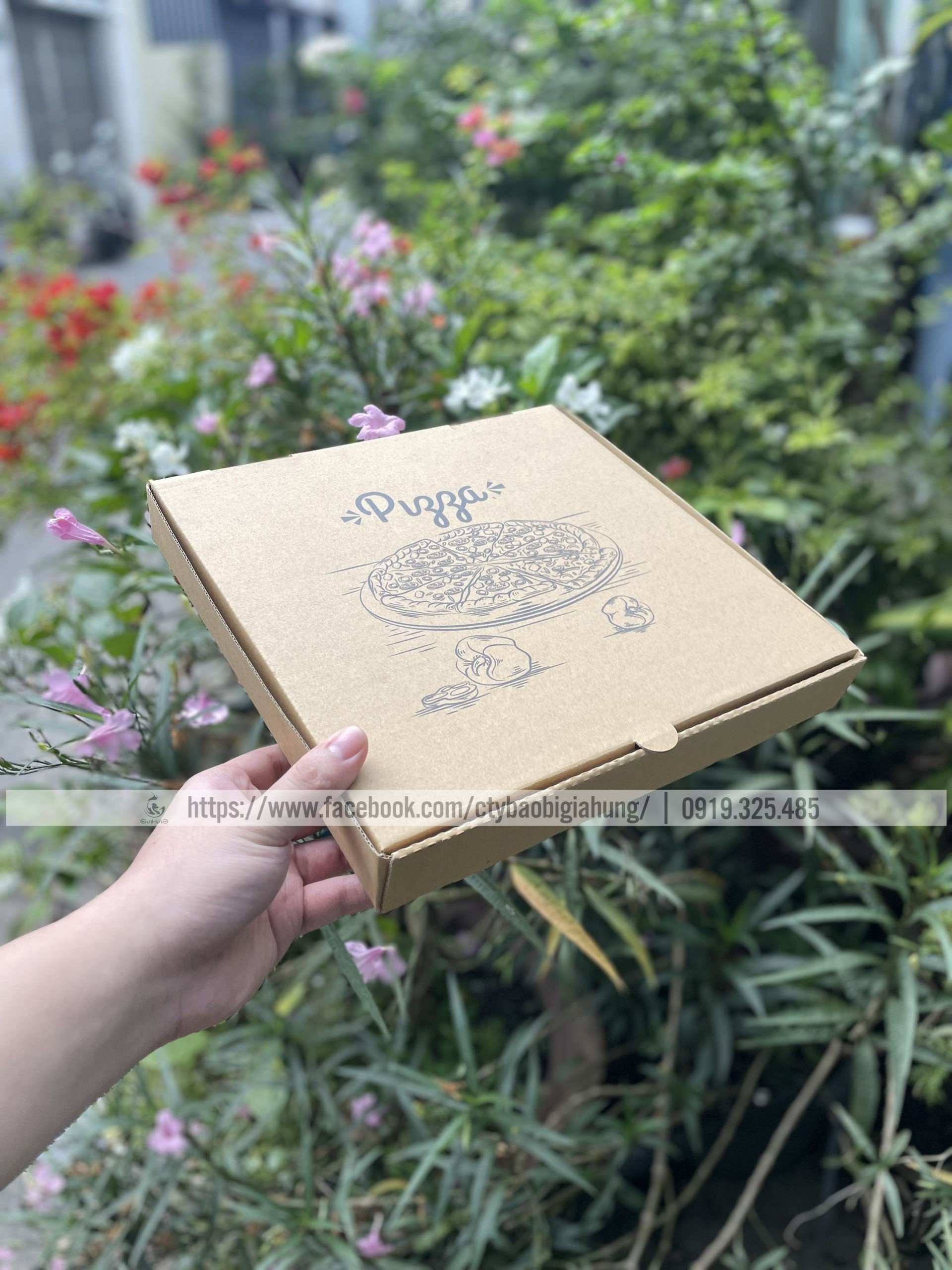 Combo 50 Hộp Pizza (28x28x4cm)