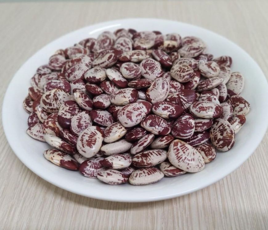 Hạt giống đậu ngự {gói 10 hạt} - TGHG