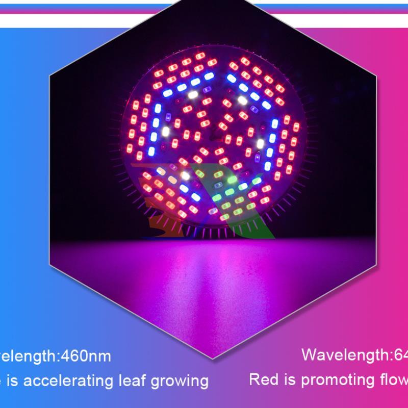 Led grow lights (80W, E27)