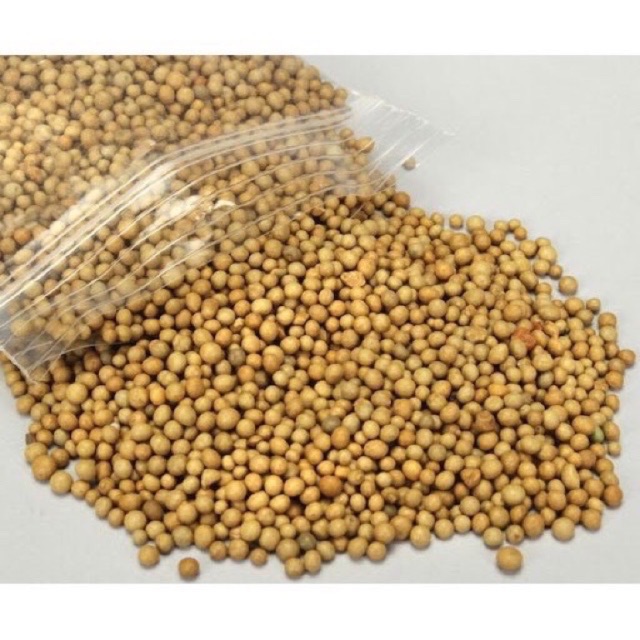 [HCM]Phân Vàng Tan Chậm (Gói 100G)