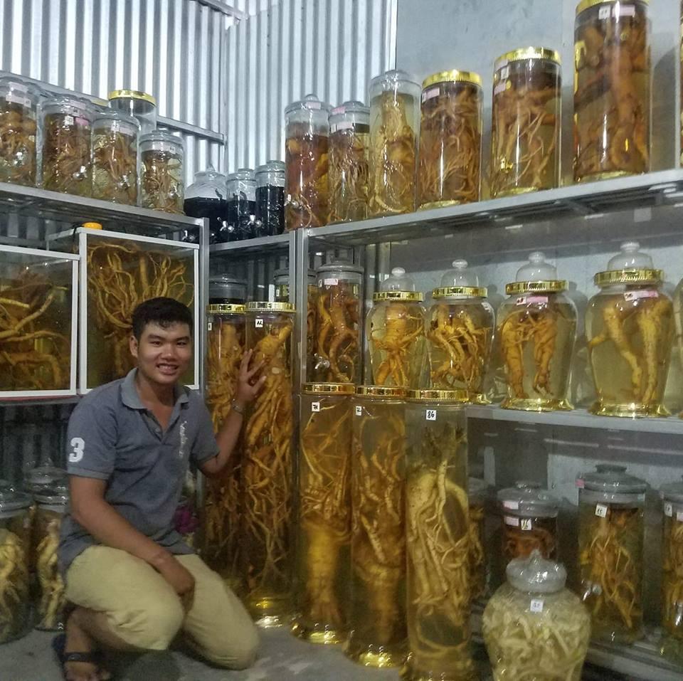 CŨ đinh lăng khô 1kg