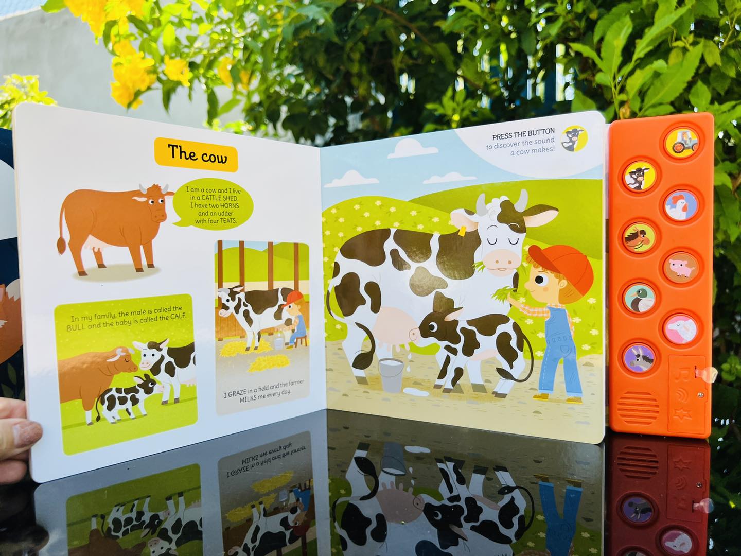 My First Sound Book: On the Farm