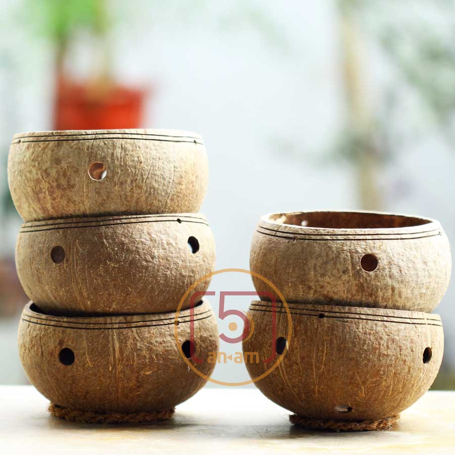 05 Gáo dừa TRƠN TRỒNG LAN CÂY CẢNH Coconut planters set set of 05