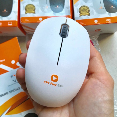 [Chính Hãng] Chuột máy tính không dây FPT (Tặng Pin)