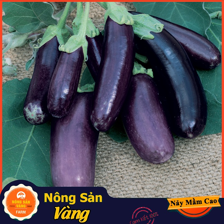 Long heart lilac seeds (1 gram package)-shallow yellow