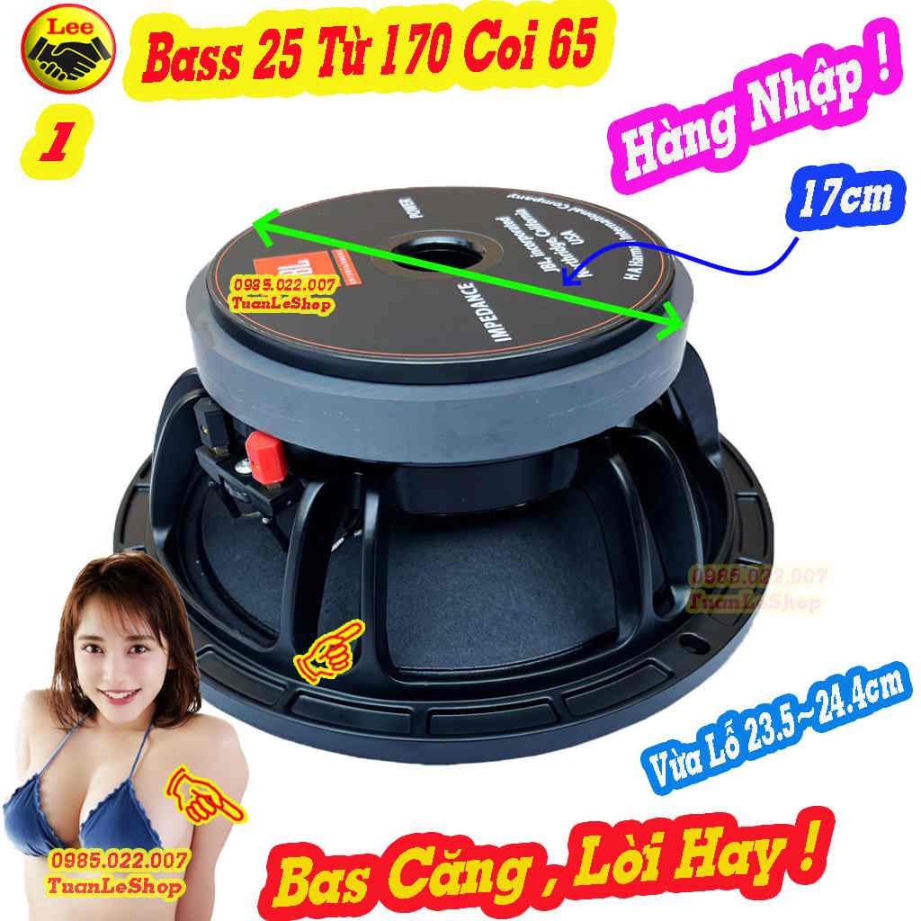Loa bass 25 coi 75 từ 170- loa karaoke jbl _ hàng nhập - loa bass 2 tấc rưỡi _ giá 01 loa bas 25 5507