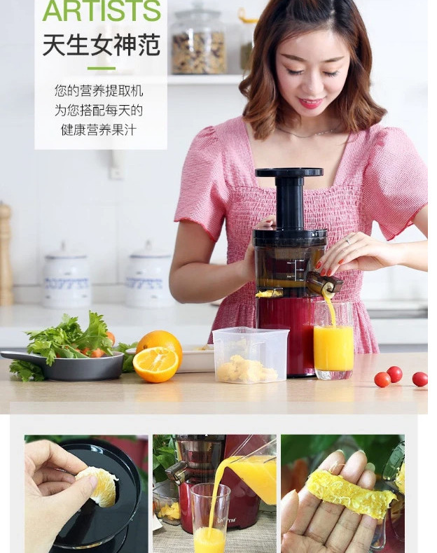 Máy ép chậm hoa quả, máy ép rau củ tốc độ chậm SAVTM JE07